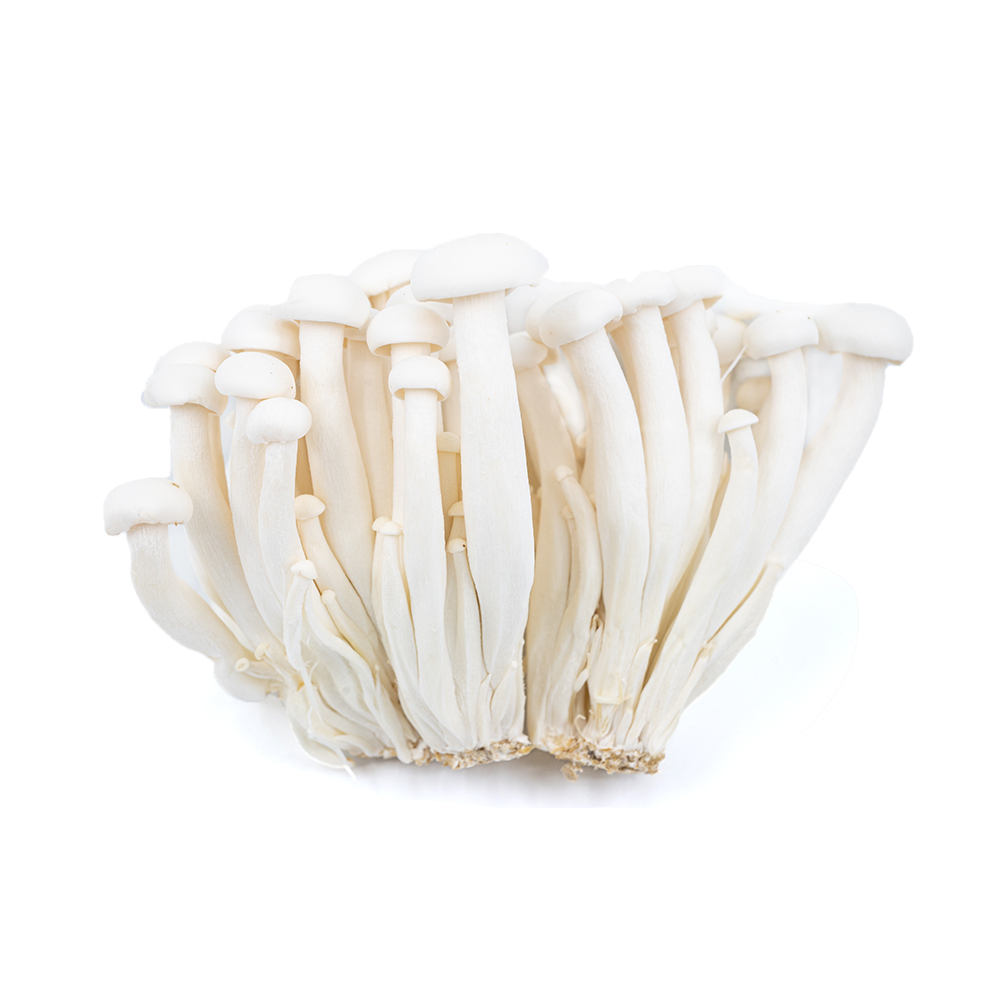 white beech mushrooms