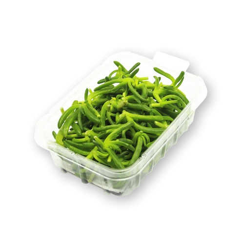 flower salty fingers